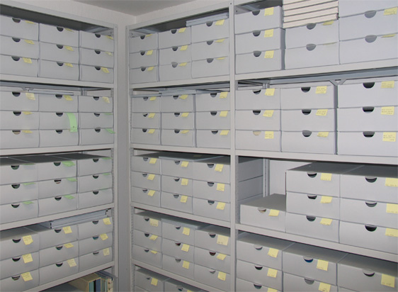 archiv_05.jpg